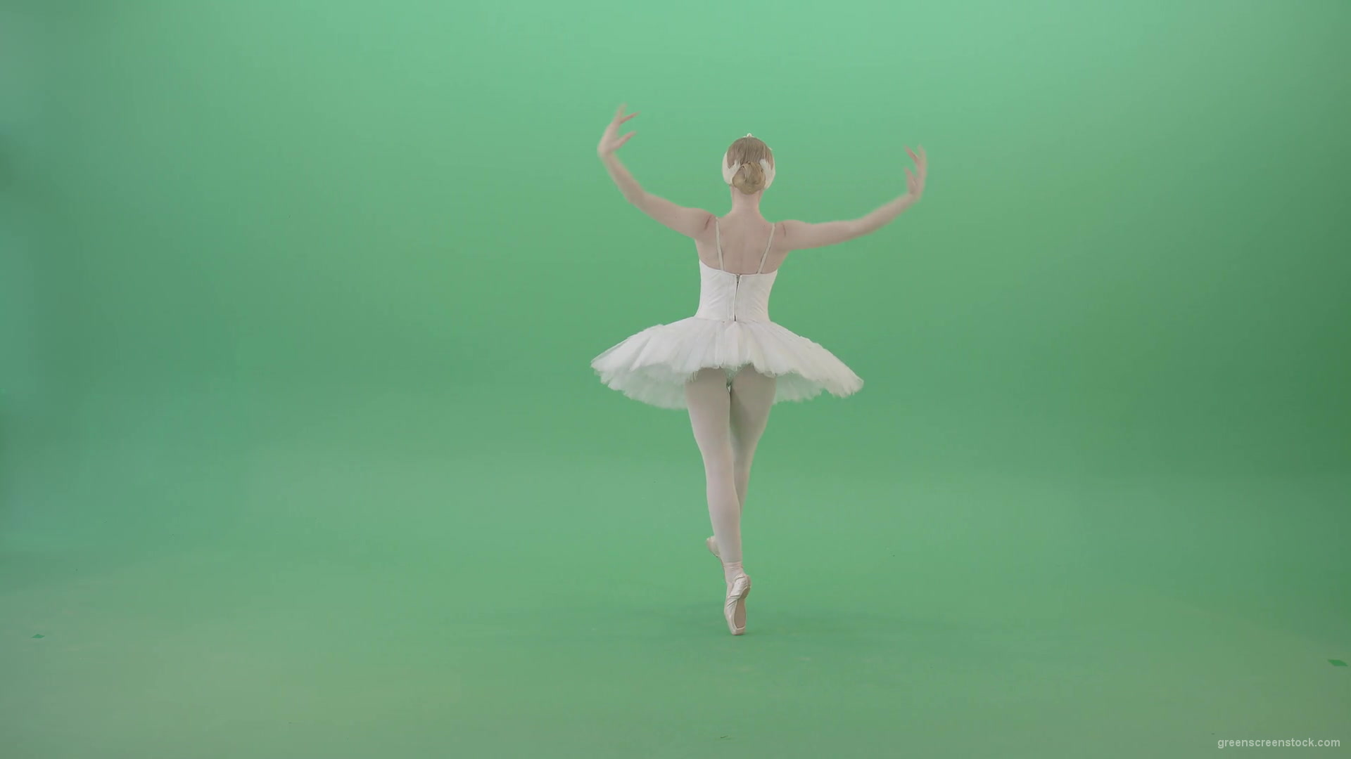 Beautiful-swan-lake-ballet-dance-ballerina-in-back-side-view-dancing-on-green-screen-4K-Video-Footage-1920_008 Green Screen Stock
