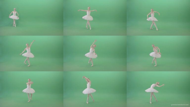 Beautifull-Swan-Lake-Ballerina-waving-hand-wigns-on-green-screen-4K-Video-Footage-1920 Green Screen Stock