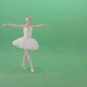 Beautifull-Swan-Lake-Ballerina-waving-hand-wigns-on-green-screen-4K-Video-Footage-1920_002 Green Screen Stock