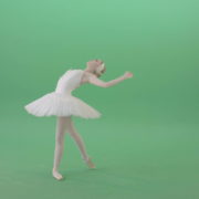 Beautifull-Swan-Lake-Ballerina-waving-hand-wigns-on-green-screen-4K-Video-Footage-1920_009 Green Screen Stock