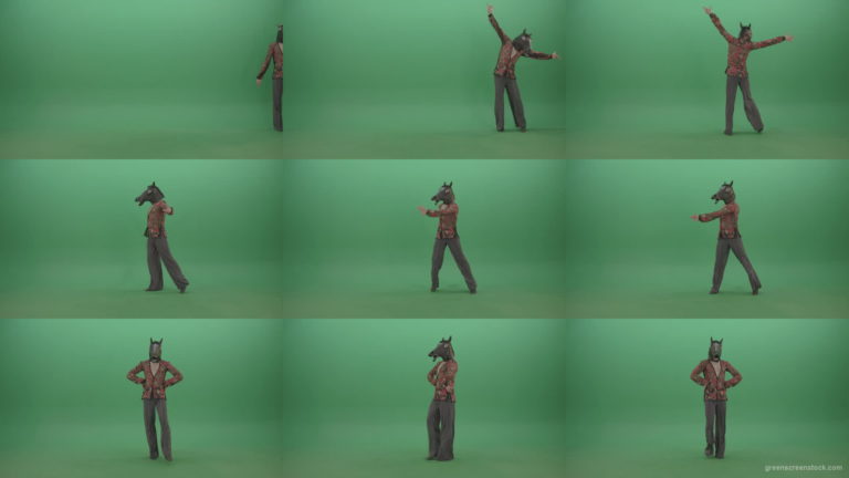 Fanny-dancing-Horse-Man-showing-ballroom-dance-on-green-screen-4K-Video-Footage-1920 Green Screen Stock