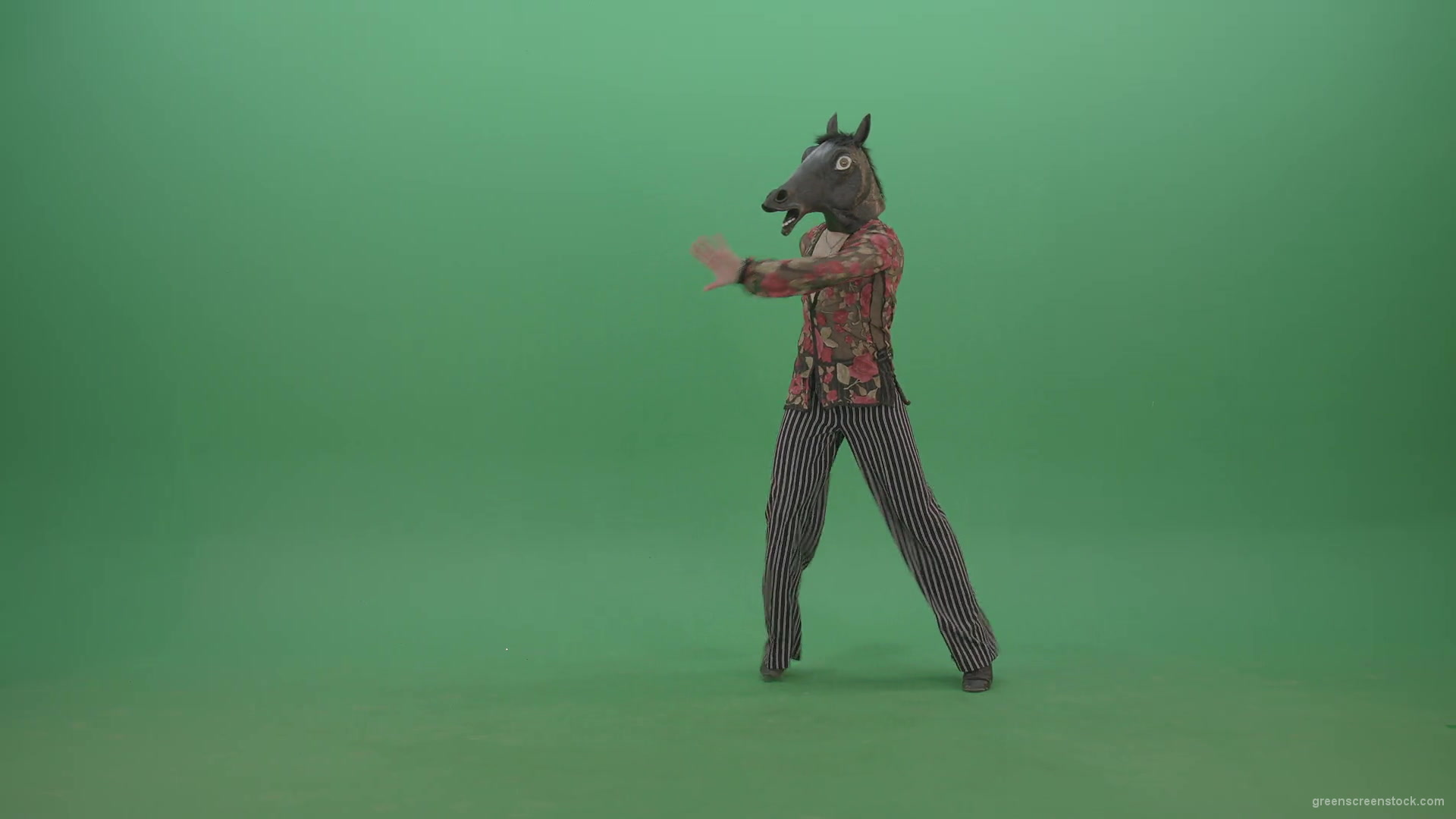 Fanny-dancing-Horse-Man-showing-ballroom-dance-on-green-screen-4K-Video-Footage-1920_005 Green Screen Stock