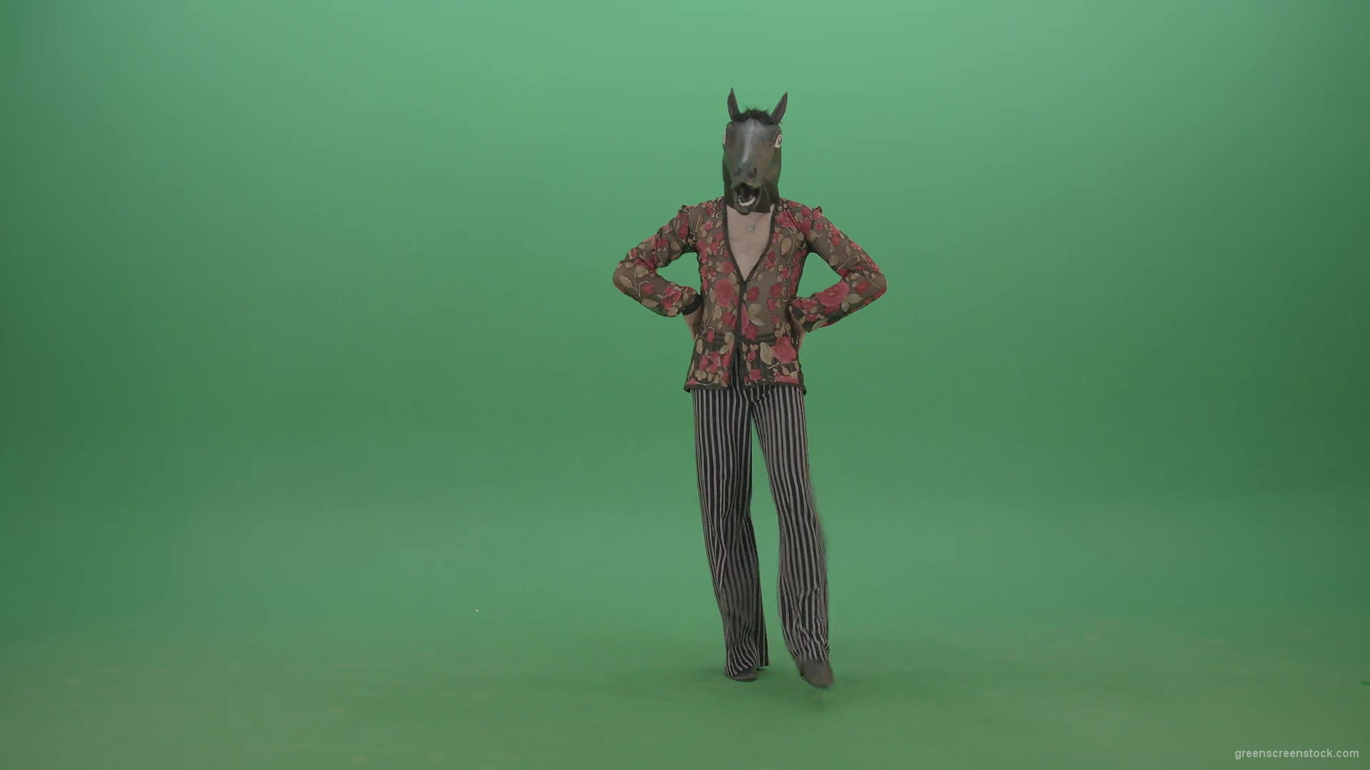 Fanny-dancing-Horse-Man-showing-ballroom-dance-on-green-screen-4K-Video-Footage-1920_007 Green Screen Stock