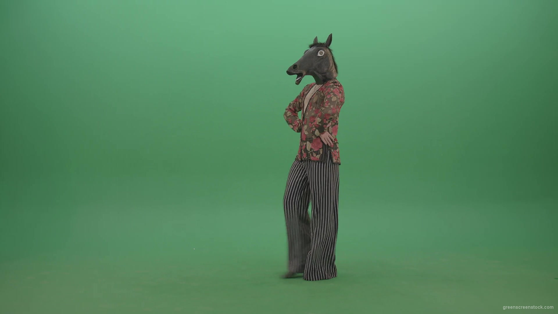 Fanny-dancing-Horse-Man-showing-ballroom-dance-on-green-screen-4K-Video-Footage-1920_008 Green Screen Stock