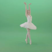 Fashion-snow-white-ballet-dancing-girl-showing-swan-lake-dance-isolated-on-Green-Screen-4K-Video-Footage-1920_002 Green Screen Stock