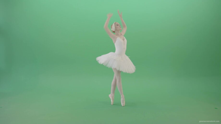 vj video background Fashion-snow-white-ballet-dancing-girl-showing-swan-lake-dance-isolated-on-Green-Screen-4K-Video-Footage-1920_003