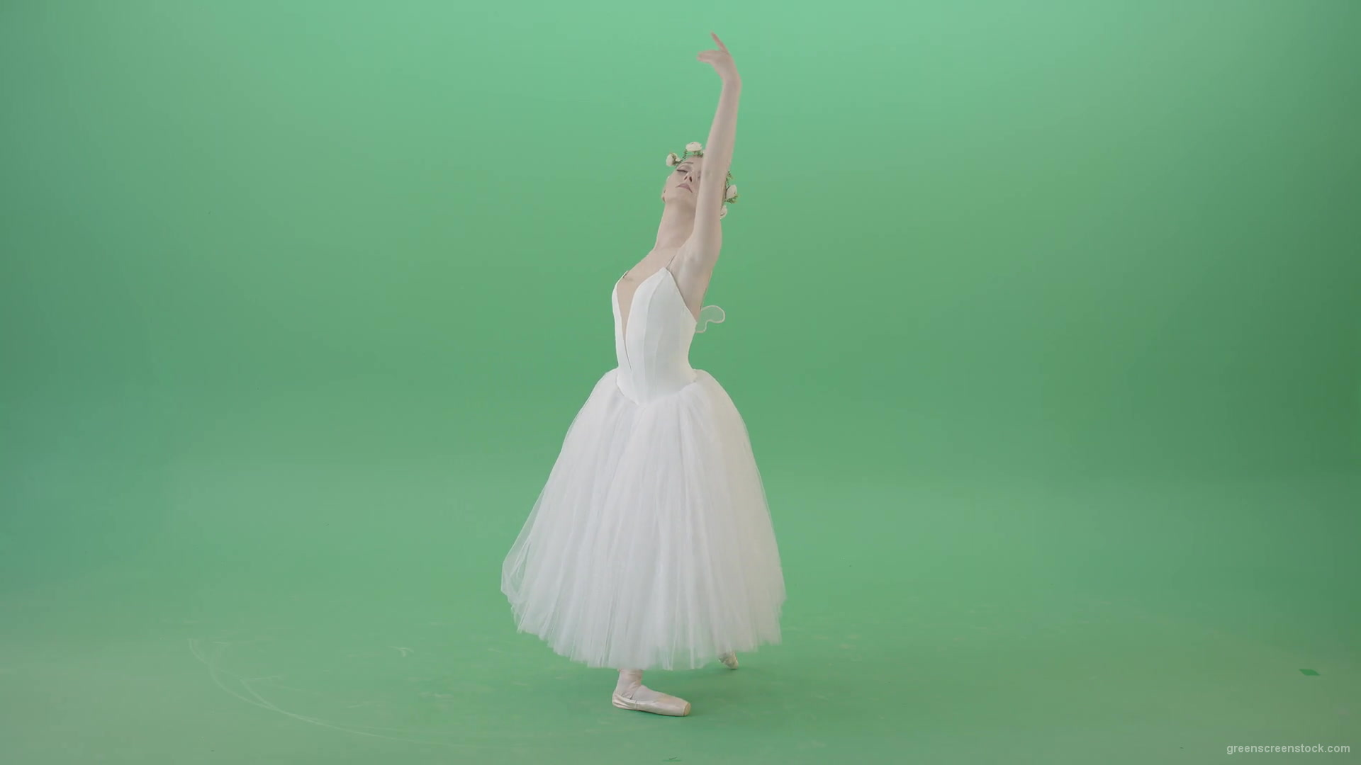 Royal-elegant-greetings-regards-by-Ballet-Dancer-Girl-in-White-Dress-on-Green-Screen-4K-Video-Clip-1920_007 Green Screen Stock