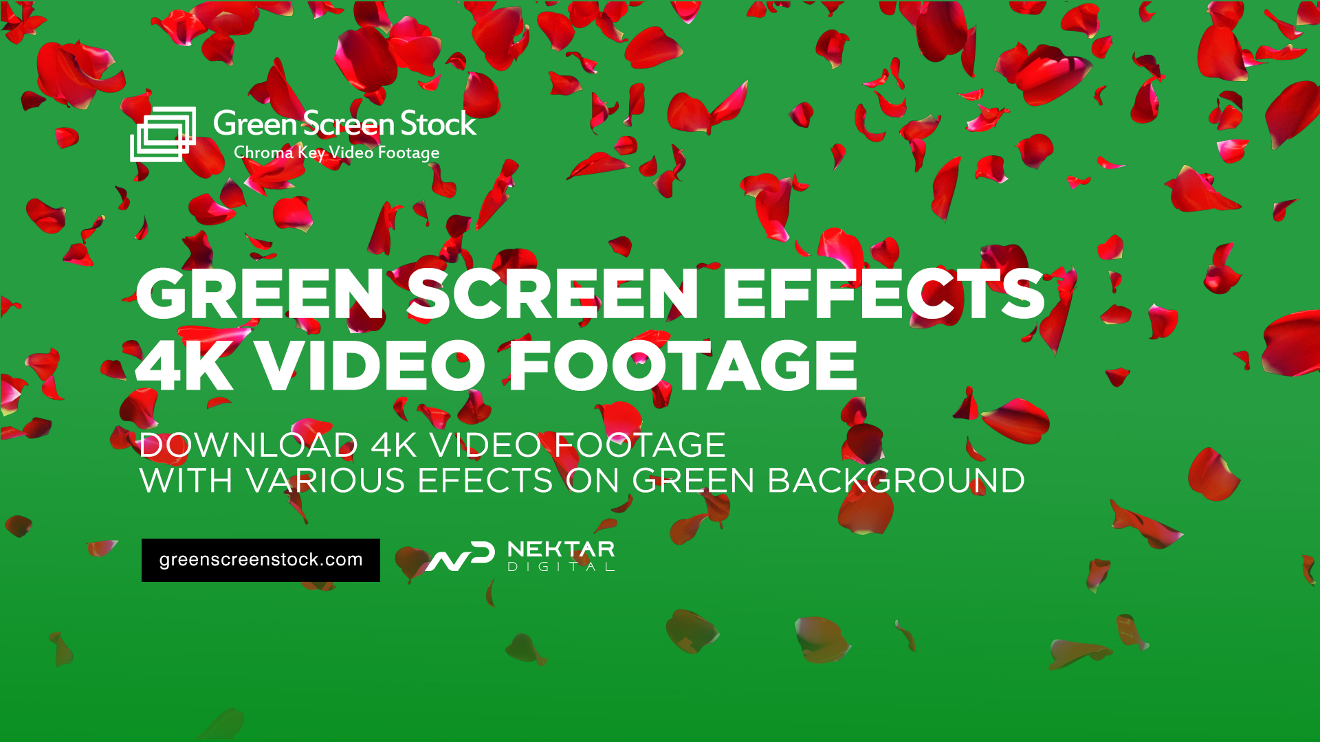 video effects for editing green screen