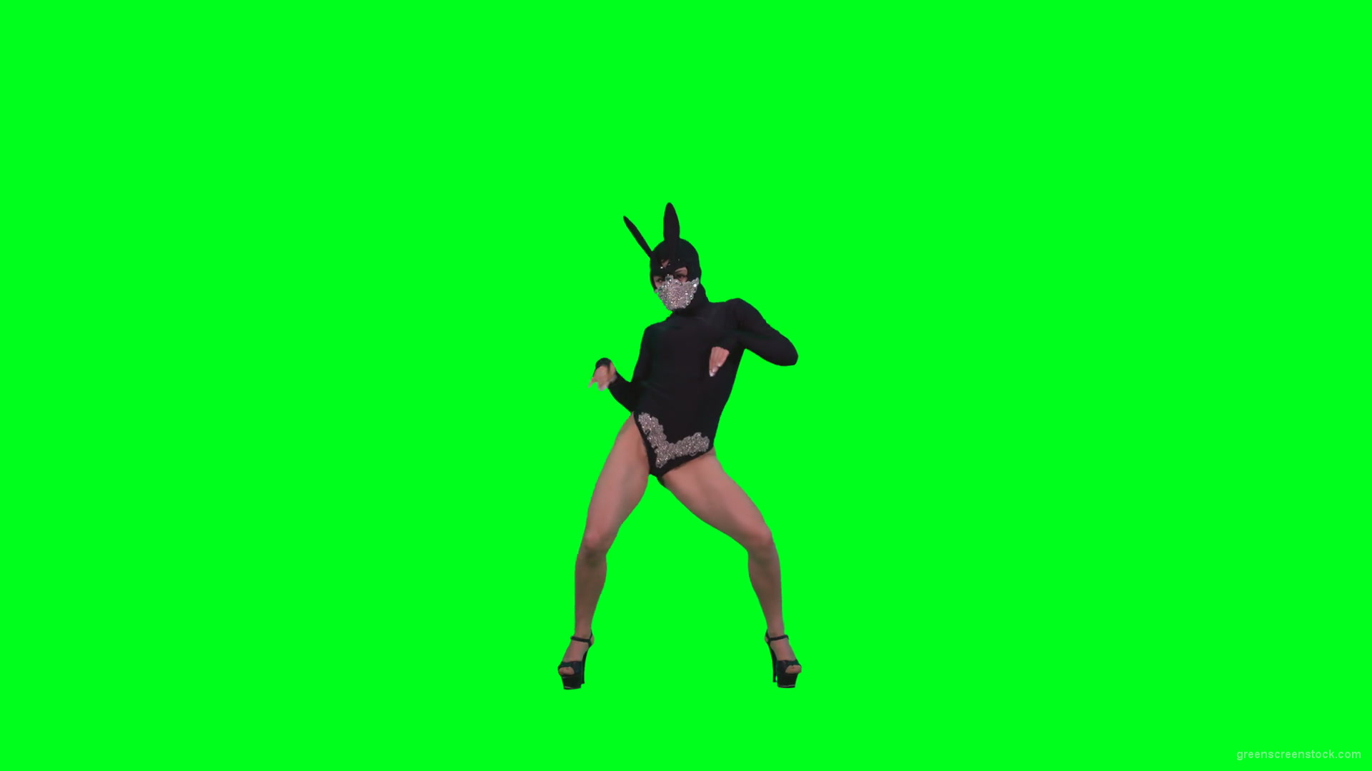 Girl-in-Black-Bunny-Costume-squatting-in-go-go-style-isolated-on-green-screen-4K-Video-Footage-1-1920_002 Green Screen Stock