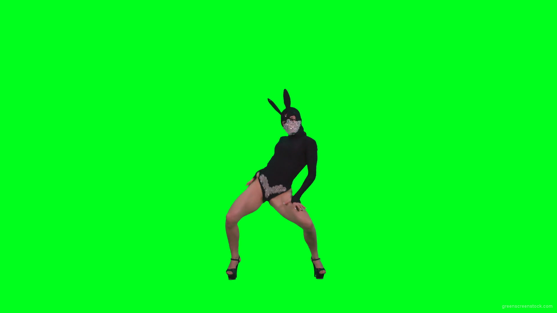 Girl-in-Black-Bunny-Costume-squatting-in-go-go-style-isolated-on-green-screen-4K-Video-Footage-1-1920_005 Green Screen Stock