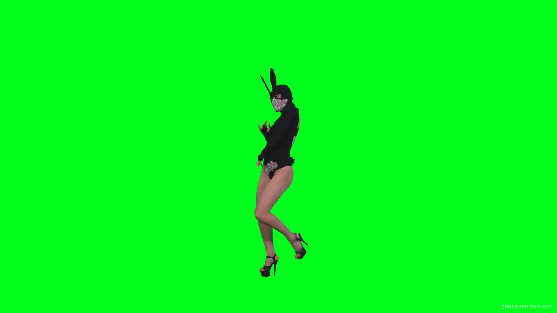 Girl-in-Black-Bunny-Costume-squatting-in-go-go-style-isolated-on-green-screen-4K-Video-Footage-1-1920_007 Green Screen Stock