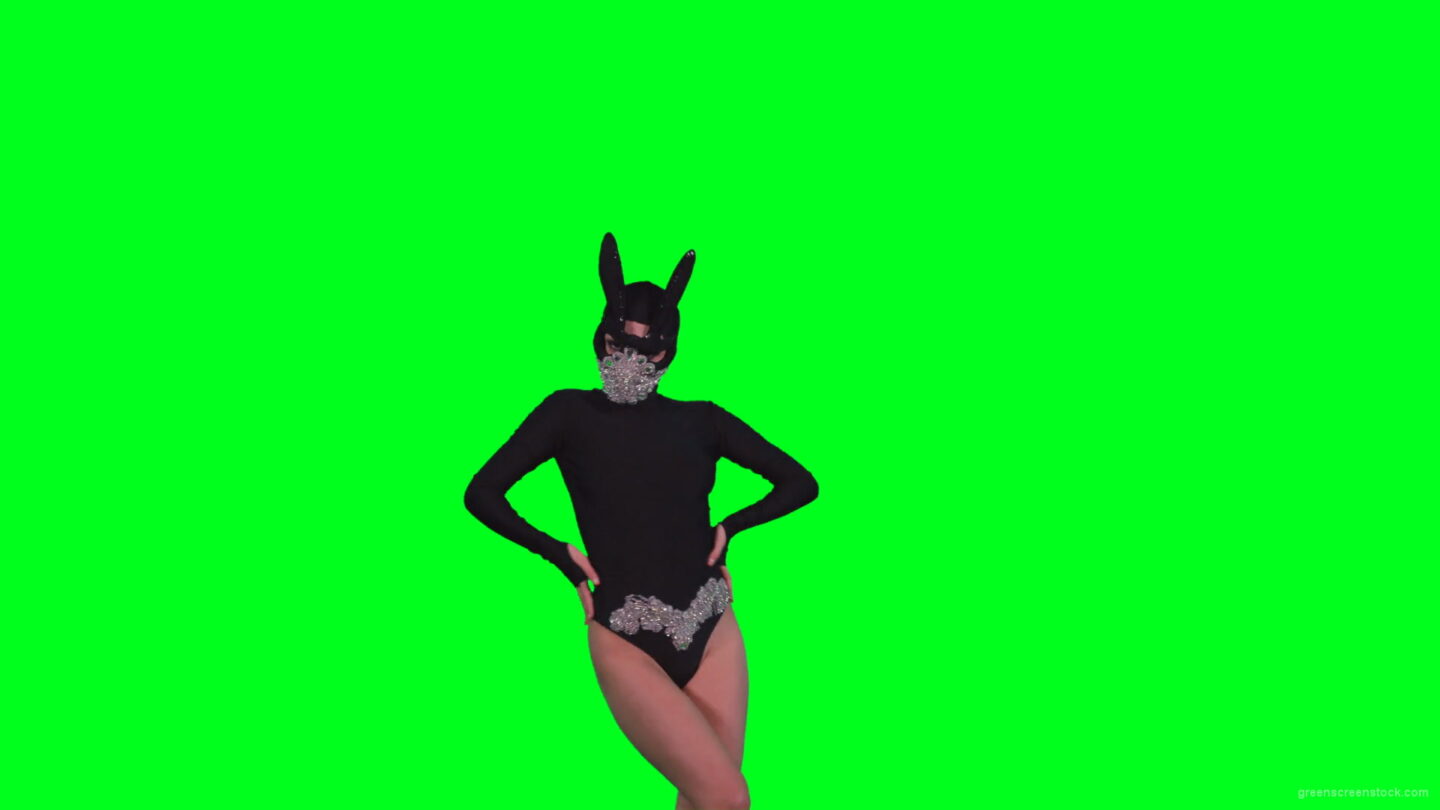 vj video background Sexy-Bunny-Girl-in-Rabbit-black-mask-chilling-with-animal-instict-isolated-on-green-screen-4K-Video-Footage-1920_003