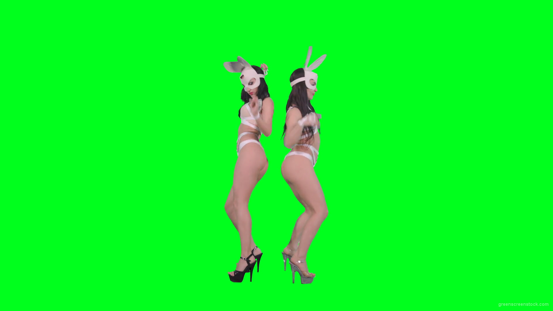 Go-Go-Dancing-female-team-duet-making-erotic-moves-on-green-screen-4K-Video-Footage-1920_002 Green Screen Stock