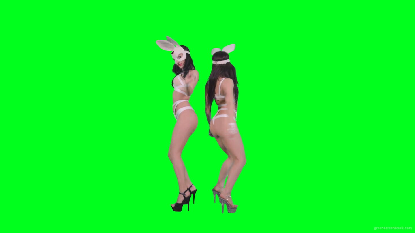 vj video background Go-Go-Dancing-female-team-duet-making-erotic-moves-on-green-screen-4K-Video-Footage-1920_003