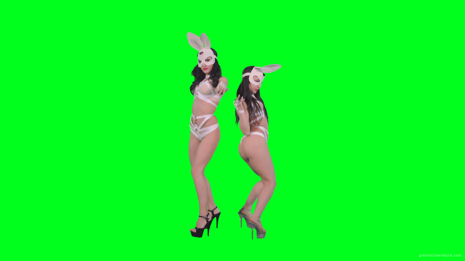 Go-Go-Dancing-female-team-duet-making-erotic-moves-on-green-screen-4K-Video-Footage-1920_005 Green Screen Stock