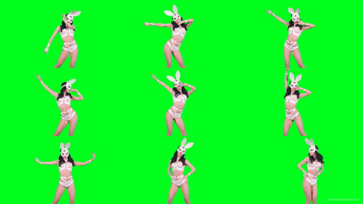 Sexy-bunny-girl-in-rabbit-costume-on-green-screen-4K-Video-Footage-1920 Green Screen Stock
