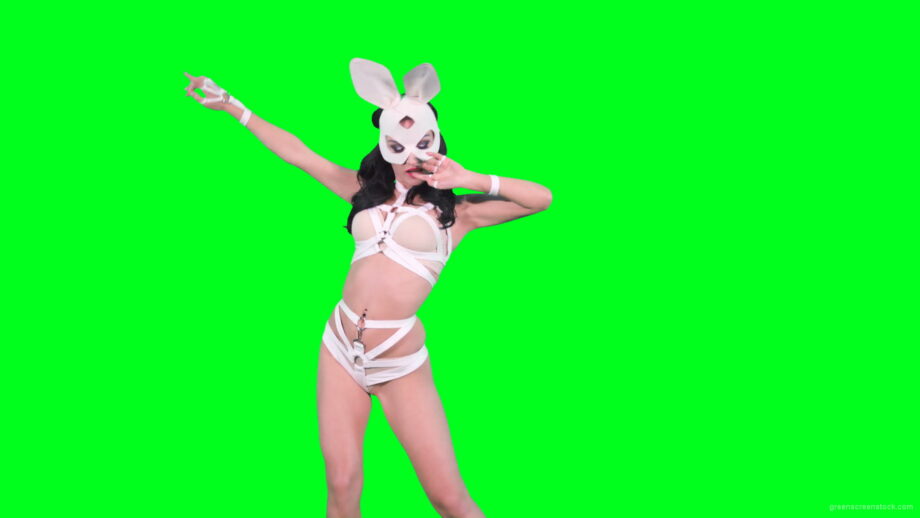 vj video background Sexy-bunny-girl-in-rabbit-costume-on-green-screen-4K-Video-Footage-1920_003