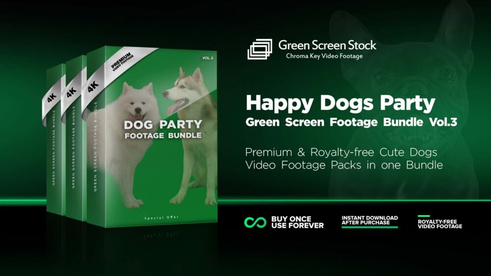GREEN-SCREEN-Dogs-Party-Bundle-Vol3
