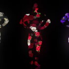 Fire-Man-in-Different-Flowers-Trio-on-Black-Ultra-HD-Video-Art-Video-VJ-Loop-gxcidy-1920_001 Green Screen Stock
