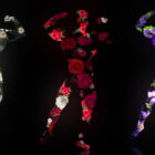 Fire-Man-in-Different-Flowers-Trio-on-Black-Ultra-HD-Video-Art-Video-VJ-Loop-gxcidy-1920_004 Green Screen Stock