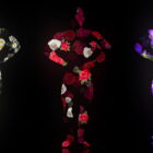 Fire-Man-in-Different-Flowers-Trio-on-Black-Ultra-HD-Video-Art-Video-VJ-Loop-gxcidy-1920_009 Green Screen Stock