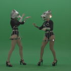 Metal-Panther-head-GoGo-girls-display-moves-over-chromakey-background-lljgvz-1920_009 Green Screen Stock