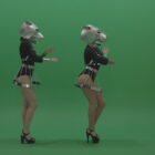 Metal-Panther-head-GoGo-girls-display-moves-over-chromakey-background1-rutzdd-1920_001 Green Screen Stock