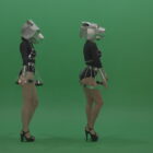 Metal-Panther-head-GoGo-girls-display-moves-over-chromakey-background1-rutzdd-1920_006 Green Screen Stock