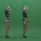 Metal-Panther-head-GoGo-girls-display-moves-over-chromakey-background1-rutzdd-1920_009 Green Screen Stock